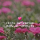 네오캣스튜디오 네이버블로그