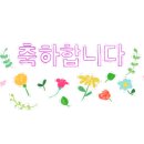엘로디플라워