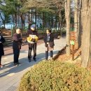 경기시민정원사협동조합 이미지