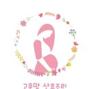 아이리스 | 포항 산후도우미 업체 비교 및 예약 참사랑 고운맘 이레아이맘
