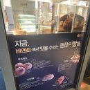 좌동순환로173(대로) | [부산 해운대 베이커리 카페] 비엔씨제과 해운대점 방문 후기, 메뉴 위치 분위기 총정리