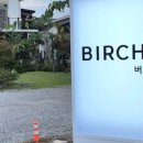 담양버치 이미지