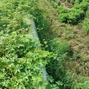 군산아너스빌공인중개사사무소 이미지