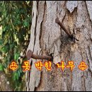못