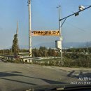 은행나무숲 입구 이미지