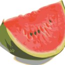 수박 이미지