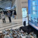 20202584 최유환 4호기사 수정 2차 이미지