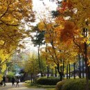 남산 산책로 이미지