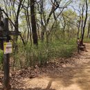 올레길 산림형 2코스 이미지