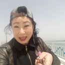 가수남순 울엄마(94세 )여수 오동도 동백섬 구경가자 하신다. 이미지