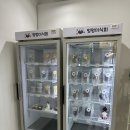 멍멍미식회 이미지