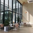 데이지브런치 이미지