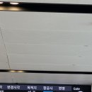 제주도 쏘카 렌트 테슬라모델Y 블랙라벨 쏘카터미널 후기 :)