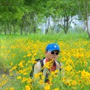 931차 5/6(화)여주 도자기 축제장/신륵사/남한강 출렁다리 이미지