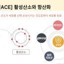 PA인터내셔널