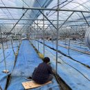 송아리농장 이미지