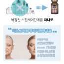 셀비아인