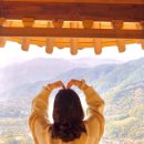 호두나무민박 이미지