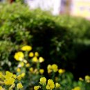 길소아청소년과의원 이미지