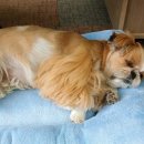 골든키공인중개사사무소 이미지