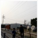 지베어 이미지