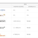 파라다이스 수영장 이미지