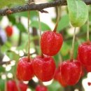 동화소공원 이미지