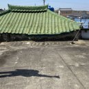 창녕홈