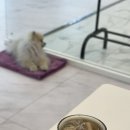 일상운동 | [공지] 원주혁신도시클래식짐PT 헬스 추천, 체형교정 중심 4:1 소그룹 PT : 회원님 운동일상 후기!