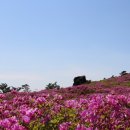 들꽃필무렵 Daum카페