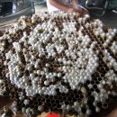 형민농장 이미지