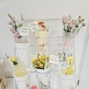 라플로레라 이미지
