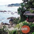 시간여행자 이미지