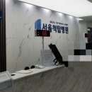 서울척탑병원 이미지