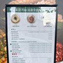 고향굴칼국수 이미지