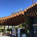 순천만 그리고 나 | 순천_순천만국가정원 / 순천만습지