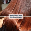 퓨어텐 이미지