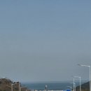 전정금농장 네이버블로그