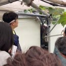 제네농장 이미지