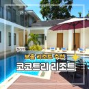 보홀 코코트리 리조트 신축 가성비 숙소 패밀리 룸 후기