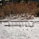 장미네농장 이미지