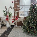 용인서울병원 1층 이미지