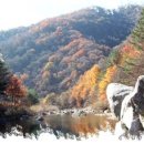 웰빙나라 이미지