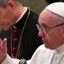 19/02/06 World needs healing, not condemning, pope says - Calls on moral theologians to encompass ecology and promote care for the environment 이미지