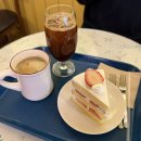 새목화미용실 | ‘26.02 월간 뚱참새 😵‍💫🙏🏼🌱