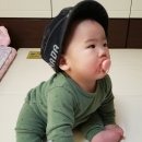 로율 이미지