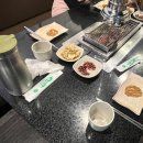 태릉입구역 양꼬치양갈비후기☺️