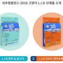 콩캣 이미지