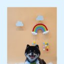 그루밍 봄 이미지