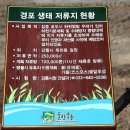 경포저류지 이미지